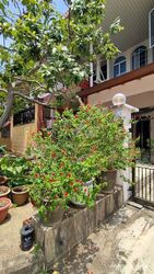 Peakview Estate (D16), Terrace #513531701